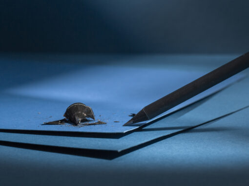 Comment détecter un faux document ? Méthodes d’expertise et signes à ne pas ignorer